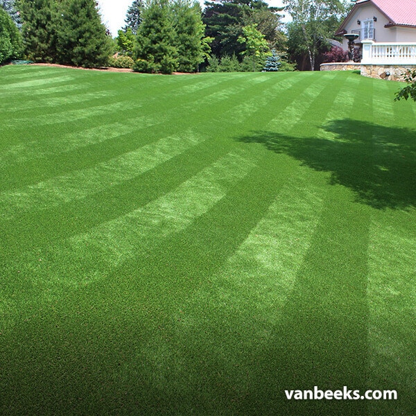 AGL Saratoga 40 Turf preview